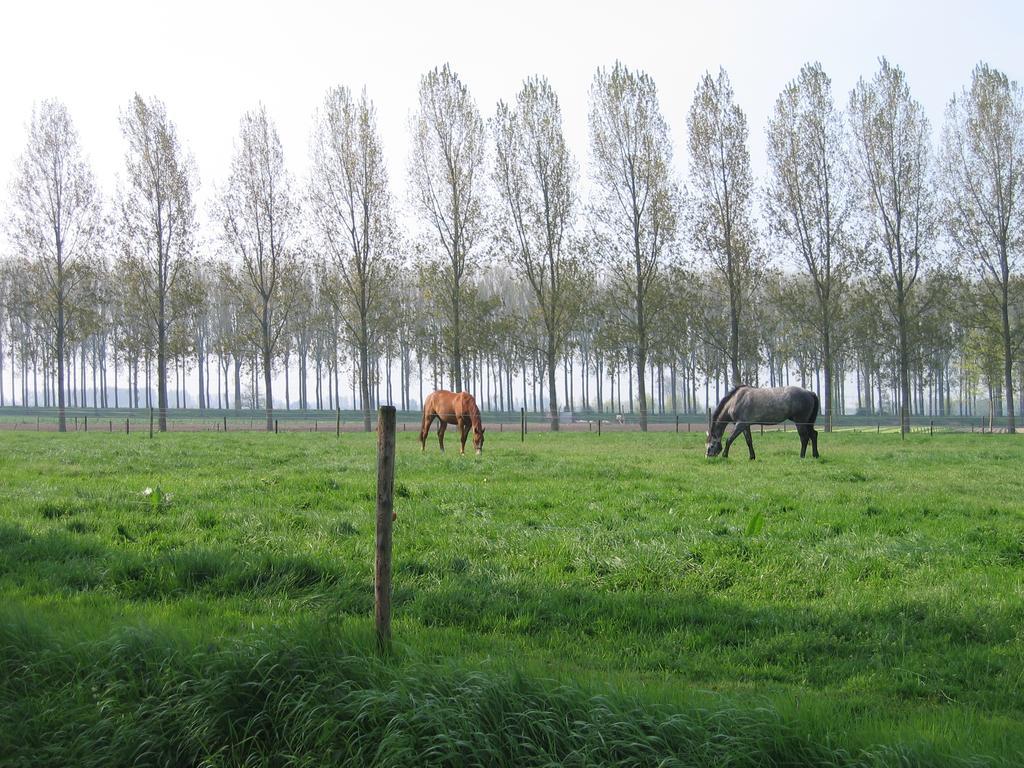 Jardin De Lieze Villa Maldegem Eksteriør billede